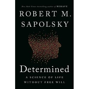 Free Will & Determinism Philosophy
